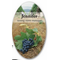 Oval Full Color Release Nameplate w/Rounded Corners (4.625"x7.625")